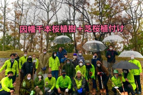 2021.11.21 桜植樹＋芝桜植付