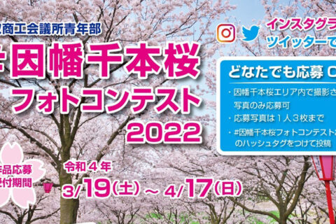 令和4年度 因幡千本桜フォトコンテスト開催中です！