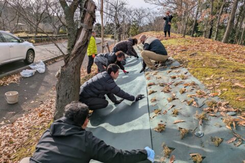桜の園にて植樹の準備作業を行いました。