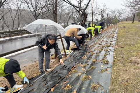 千本桜「桜の園」植樹事業を開催しました